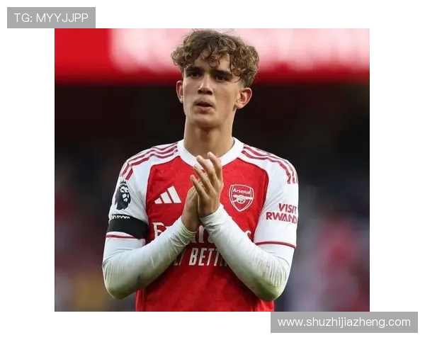 阿森纳计划1月外租恩瓦内里并考虑出售马丁内利等球员的报价